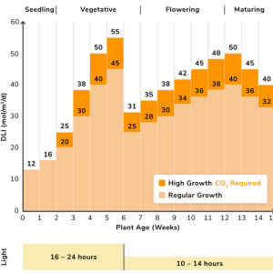 Photoperiod DLI chart.png