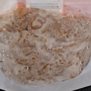 Uncle Ben's Rice mycelial growth 12-28a.jpg