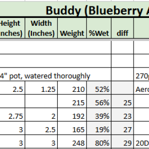 Blueberry Auto Tracker.png