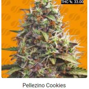 Pellezino Cookies.JPG