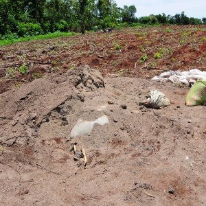 soil erosion.jpg