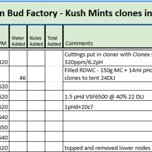 Kush Mints RDWC Tracker.png