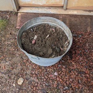 2024-1-29_SIP_17gal_garden-Dirt.jpg