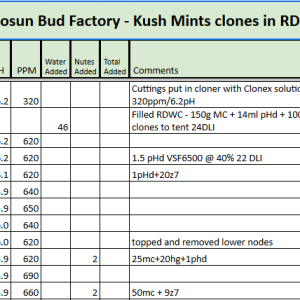 Kush Mints RDWC Tracker.png