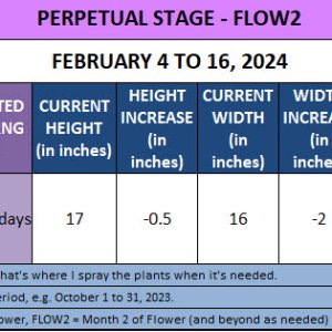 420 Update for Lana - February 4 to 16, 2024.jpg