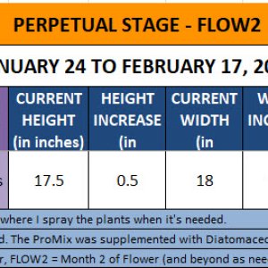 420 Update for Poppy - January 24 to February 17, 2024.jpg