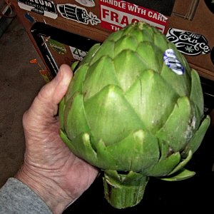 2 lb  artichoke.jpg