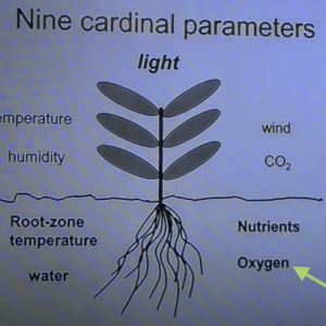 Parameters of Growth O2 Arrow.png