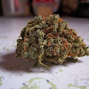 7-nug.jpg