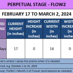 420 Update for Lana - February 17 to March 2, 2024.jpg