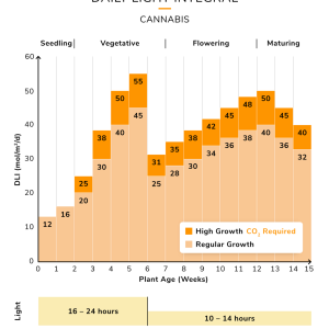 cannabis-dli-cycle.png