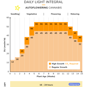 cannabis-dli-cycle-autos-1.png