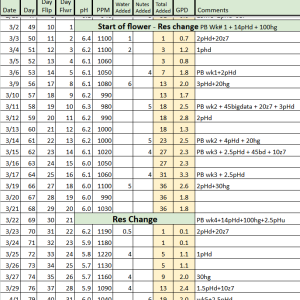 Kush Mints RDWC Tracker.png