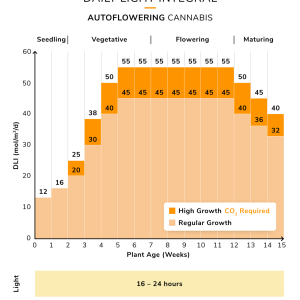 dli3 chart.png