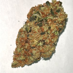 Sour G.jpg