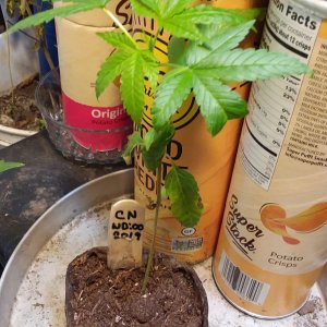 Grow Journal - RPGJCN-2024-0-15.jpg