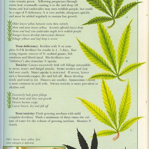 nitrogen-info-marijuana.jpg