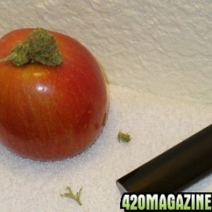 Apple Pipe w/ Sour Diesel bud