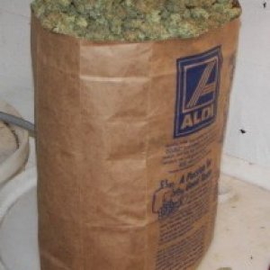 Bag of Buds