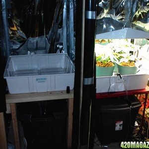 3-16-07_growroom