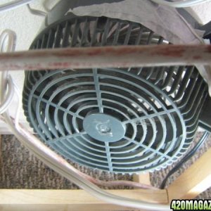 Fan