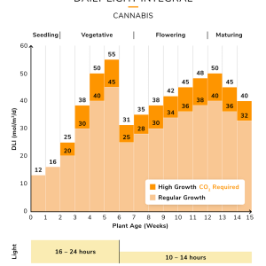 cannabis-dli-cycle-3.png