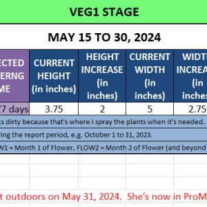 420 Update - May 15 to 31, 2024.jpg