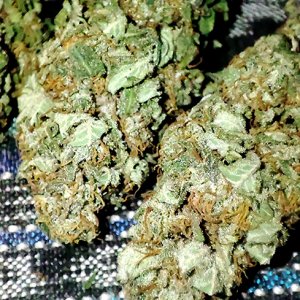 cbd#9_buds1.jpg