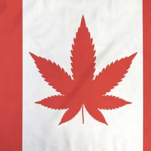 Canada-Weed-Flag.jpg