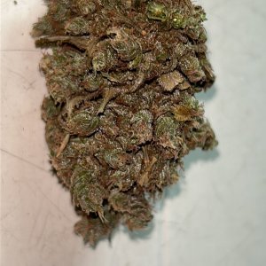 HL 6--28-24 dry nug.JPG