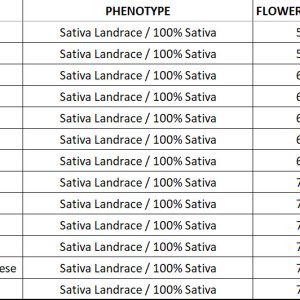 Pure Sativas with Flowering Times-1.jpg