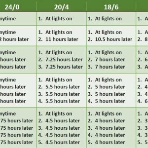 High-Frequency-Fertigation-Timing-Chart~4.jpg