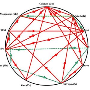 mulders-chart_1681405442-3437686721.jpg