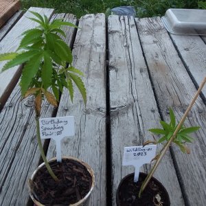 Grow Journal - RPGJCN-2024-0-38.jpg