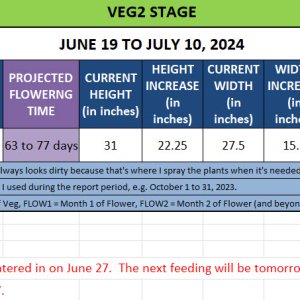 420 Update - June 19 to July 10, 2024.jpg