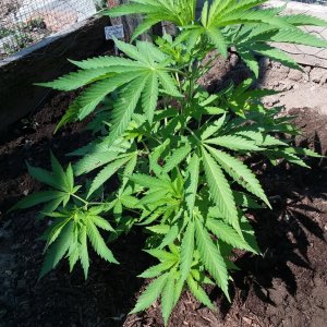 Grow Journal - RPGJCN-2024-0-39.jpg