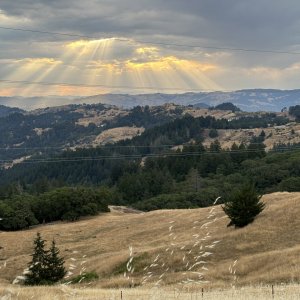 Farm view