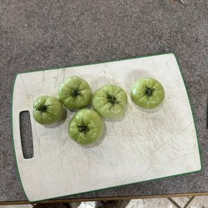 Fried Green Tomatoes