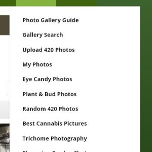 Gallery Search Tab Added to Gallery Tab.jpg