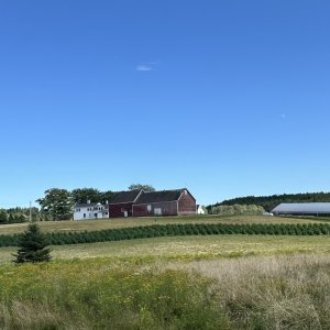 Hemp Farm