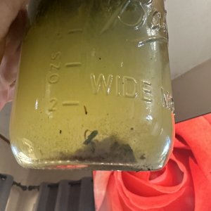 Jar Test wash