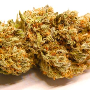 girl-scout-cookies-bud-cured.JPG