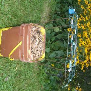 bucket-scrog01.jpg