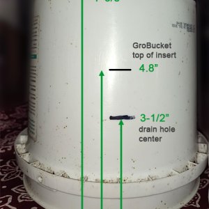 1gal_bucket-2.jpg