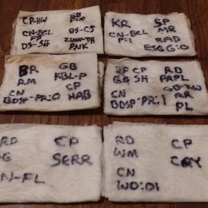 Grow Journal - RPGJCN-2024-4-17 - Token Napkins.jpg