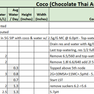 Chocolate Thai Auto tracker.png