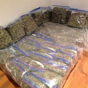 Stoners Couch.jpg