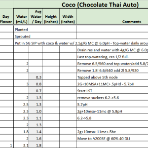 Chocolate Thai Auto tracker.png