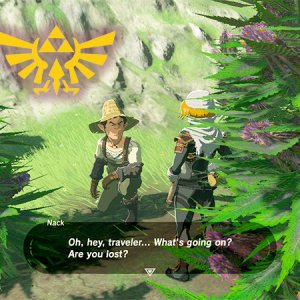 hyrule_herb1.jpg