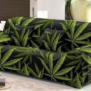 Weed couch.jpg